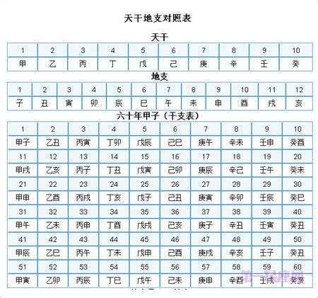 1995 天干地支|天干属性 干支纪年对照表